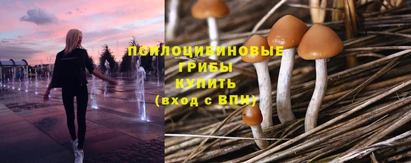 MESCALINE Алзамай